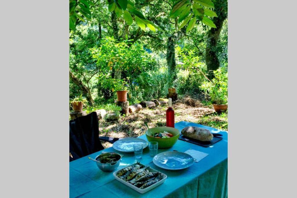 Quinta Biologica, Com Vista, Na Serra De Sintra Eksteriør billede