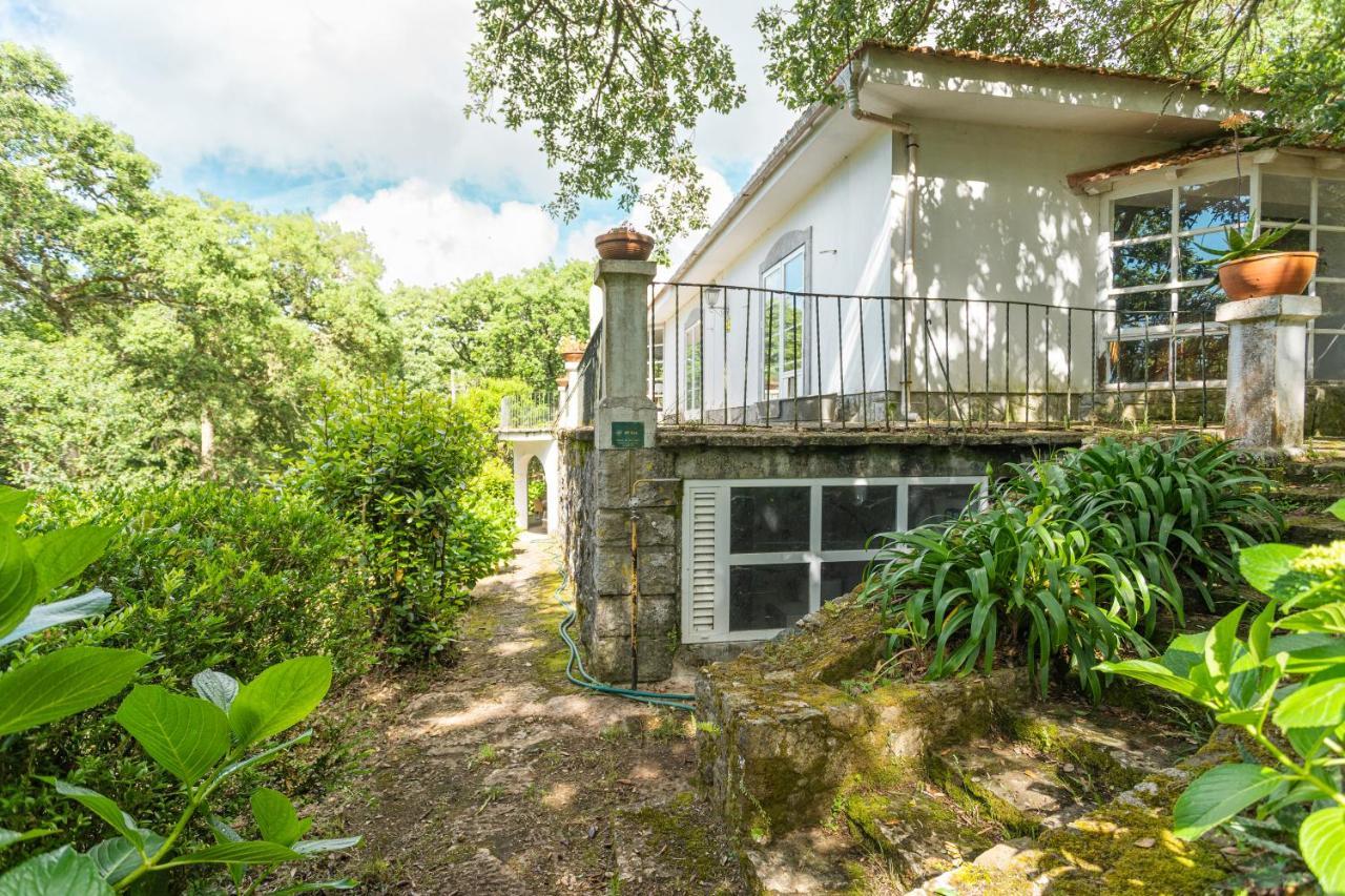 Quinta Biologica, Com Vista, Na Serra De Sintra Eksteriør billede