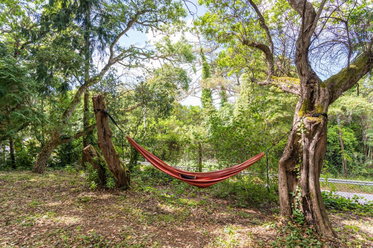 Quinta Biologica, Com Vista, Na Serra De Sintra Eksteriør billede