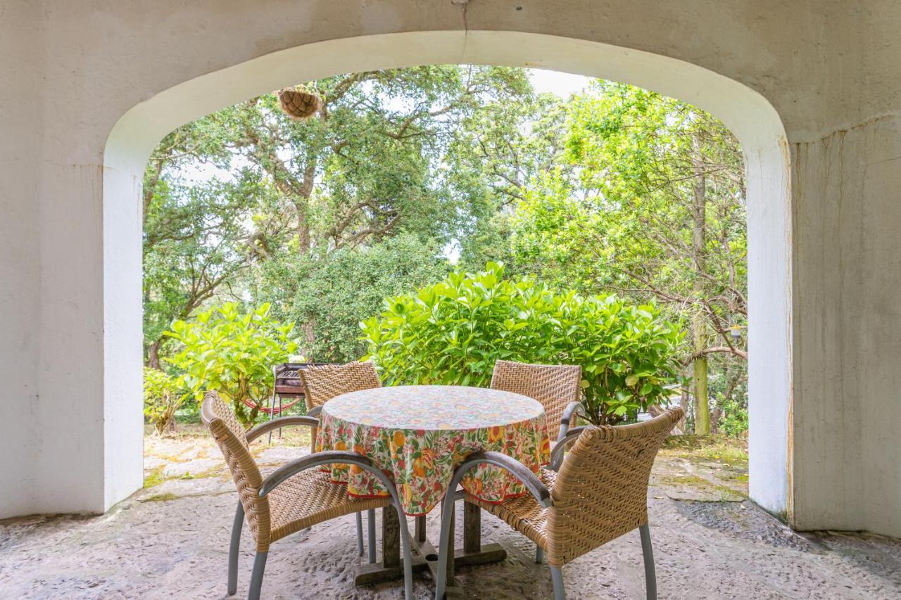 Quinta Biologica, Com Vista, Na Serra De Sintra Eksteriør billede