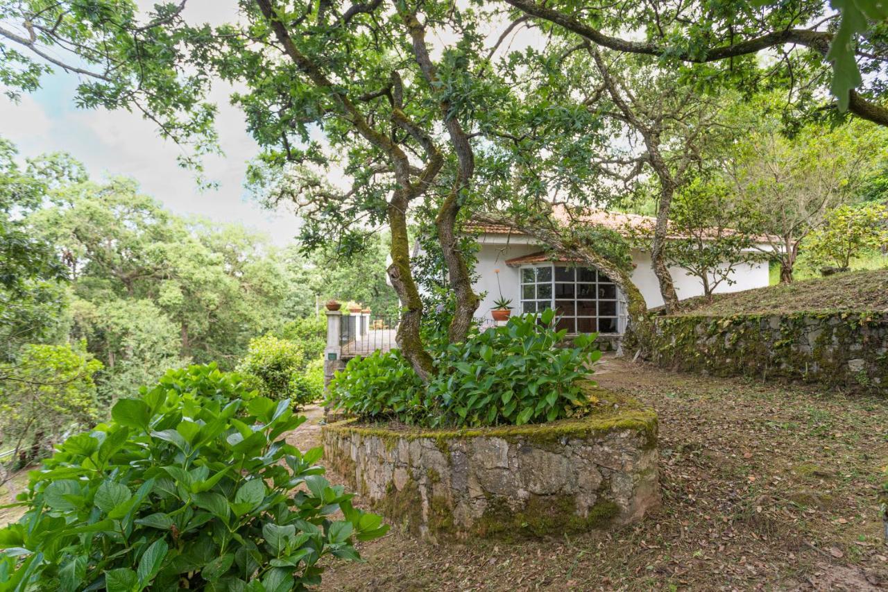 Quinta Biologica, Com Vista, Na Serra De Sintra Eksteriør billede