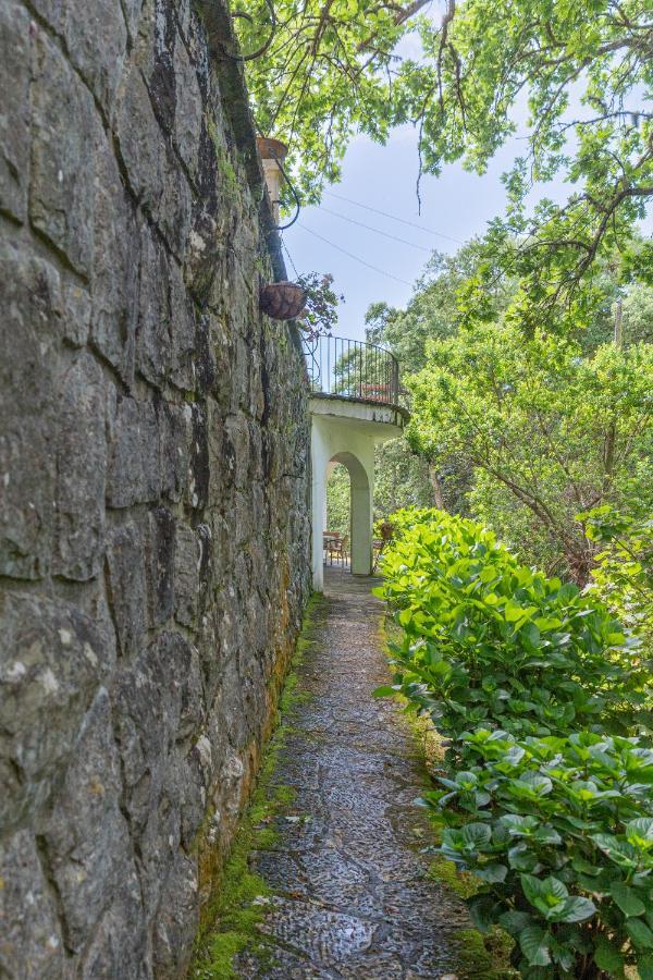 Quinta Biologica, Com Vista, Na Serra De Sintra Eksteriør billede